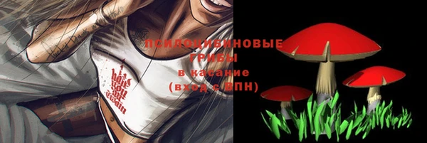 дмт Беломорск