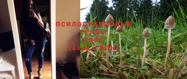 дмт Беломорск