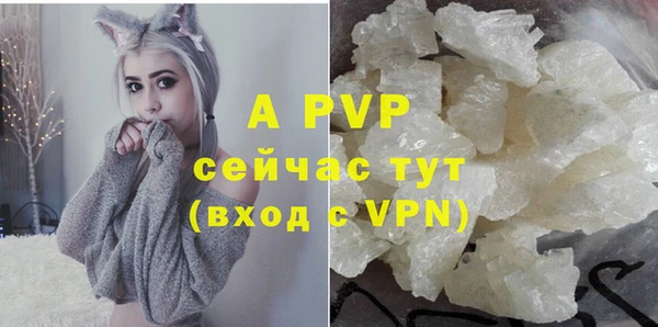круглые Белокуриха