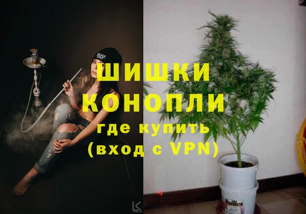 круглые Белокуриха