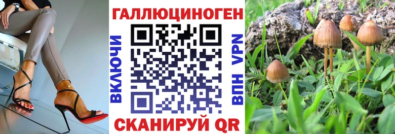 наркота  Губкинский  Псилоцибиновые грибы Psilocybe 