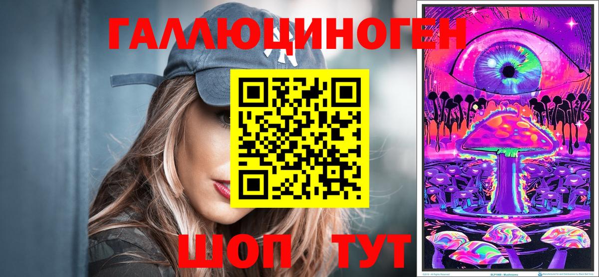 Губкинский  где купить   Псилоцибиновые грибы мицелий  Вход с VPN  Галлюциногенные грибы Psilocybine cubensis 